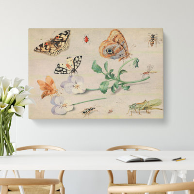 Butterflies And Insects Vol.2 by Jan Van Kessel - Wrapped Canvas Painting
