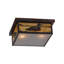 Rustic Lodge 2 - Light Flush Mount-16183611