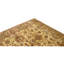 Hand Knotted Wool Area Rug in Cream And Gold