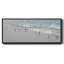 Oiseaux de rivage-2103856058-2103856037