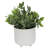 9.5'' Faux Eucalyptus Plant in Ceramic Pot