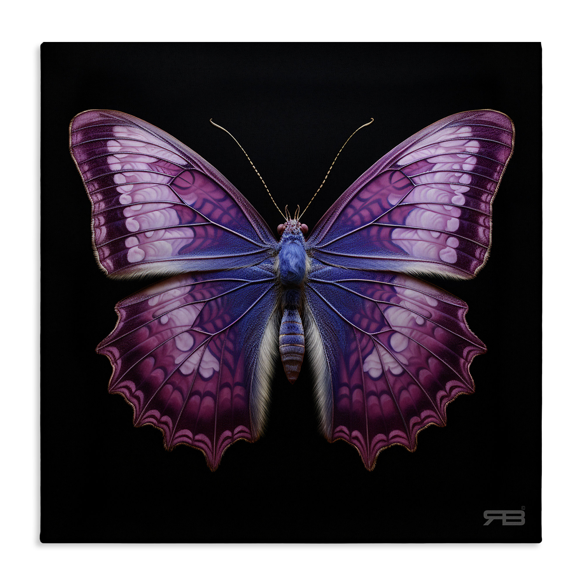 August Grove® Vivid Purple Butterfly Canvas Wall Art by Roozbeh ...