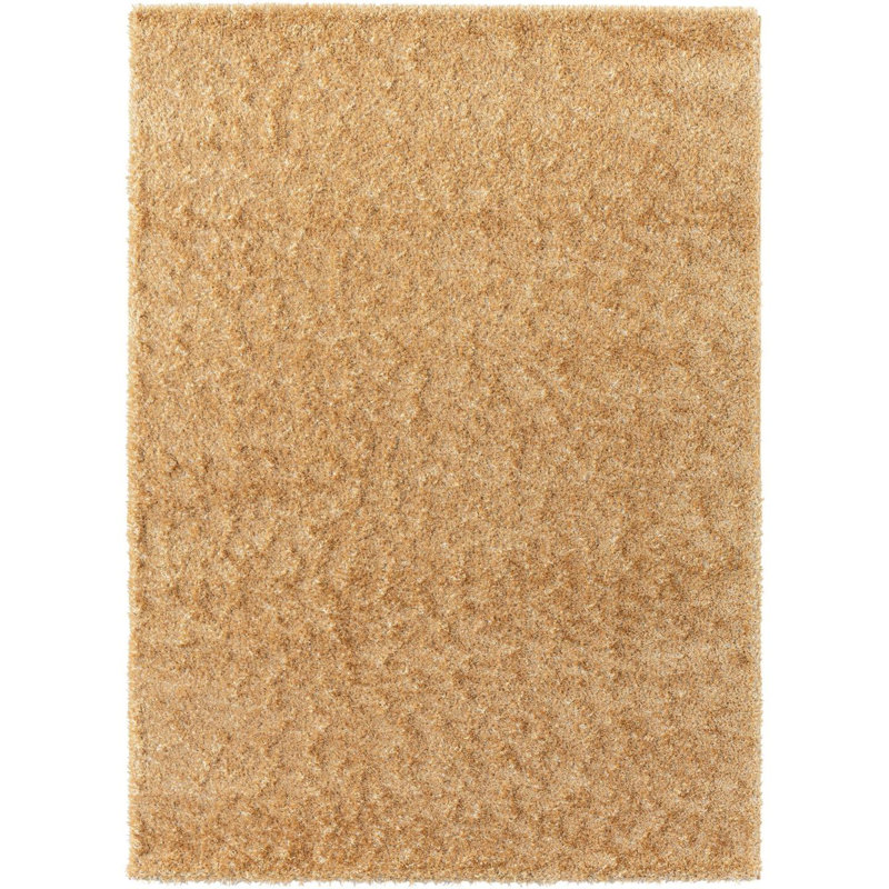 Indoor Rug, Rectangle 5' x 7'