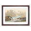 Little Sandpiper Birds by John Audubon - Picture Frame Painting Print-55617762-55617766