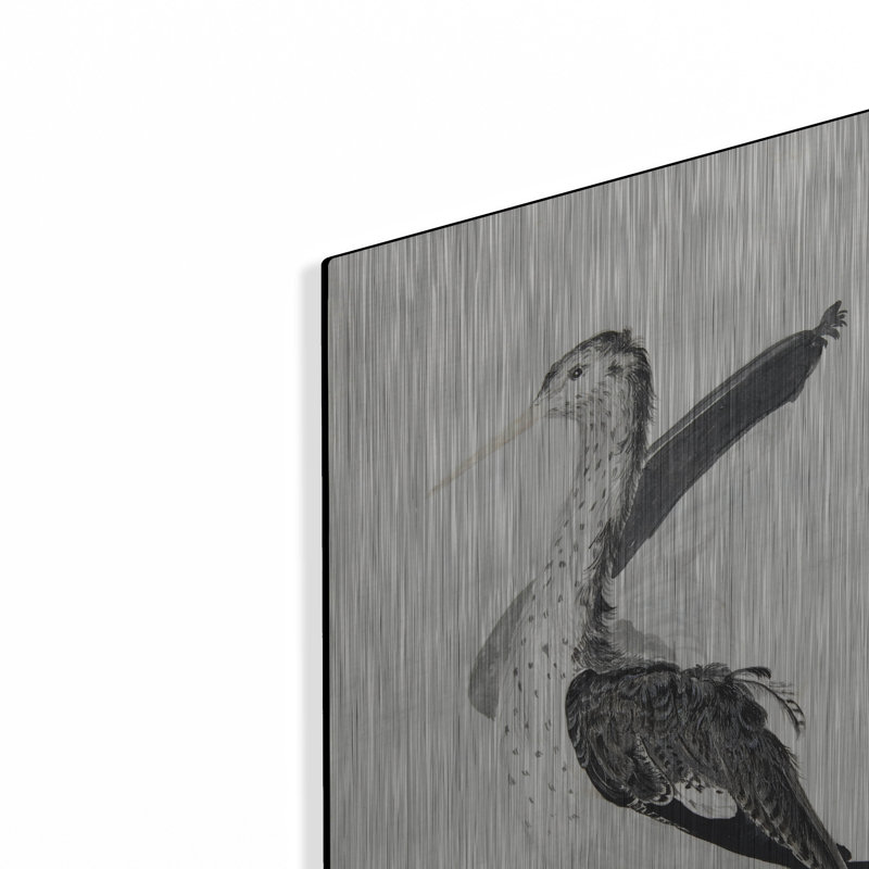  «Long Billing Bird» par Stellar Design Studio, art mural en métal, 12 po x 16 po, H 16 po x l 12 po