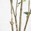 7 pi. Ficus artificiel minimaliste Audrey