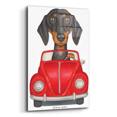 " Black Dachshund Red Volkswagon "