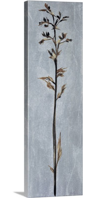 « iii » par liz jardine, reproduction d’art sur toile Cool Botanicals