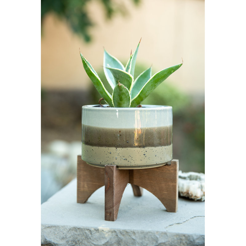 Pot de fleurs en céramique Waycross