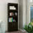 Shell Beach 1-Drawer 3-Shelf Bookcase Wengue