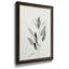 «Delicate Sage Botanical IV», peinture sur toile encadrée-1433696965