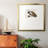 " Peackock Plumage " Painting Print-996218829-996218864
