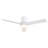Jazyon 48'' Ceiling Fan with Light Kit-483904215