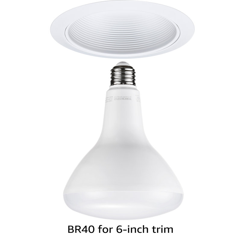 Ampoules DEL BR40, 100W Eqv. Base à vis E26, intensité variable, blanc chaud 3000K