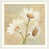 Toile sélectionné