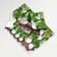 Tapisserie murale légumes radis Daikon-133635032