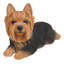 Statue de yorkshire terrier allongé