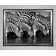Zebra Drinking - Single Picture Frame Art Print