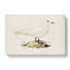Ivory Gull by Von Wright - Wrapped Canvas Painting-55361797