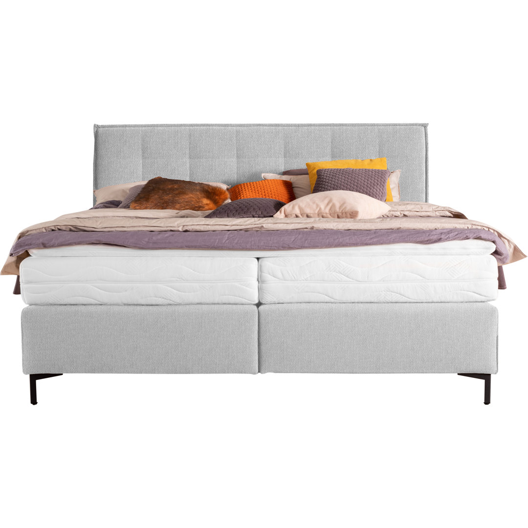 Boxspringbett Robenson mit Topper