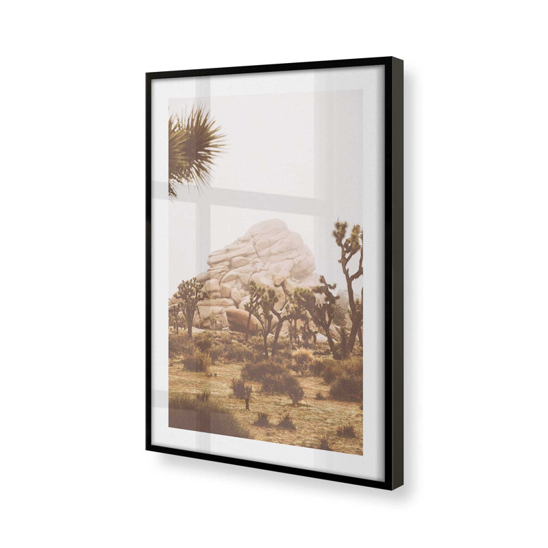 Joshua Tree Vista Print, dans un cadre,, Cadre noir satiné, H 21 po x l 17 po x P 1,25 po