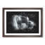 Lone Horse - Picture Frame Graphic Art-62802571-62802568