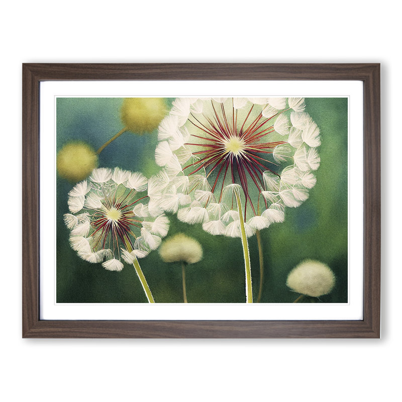 Glowing Dandelion Flowers - Single Picture Frame Print