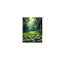 36 po x 24 po, grand arbre vert foncé avec fond en bois et cadre mural en bois pour décoration intérieure