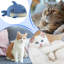 Chenil pour animal de compagnie Shark-1128398941