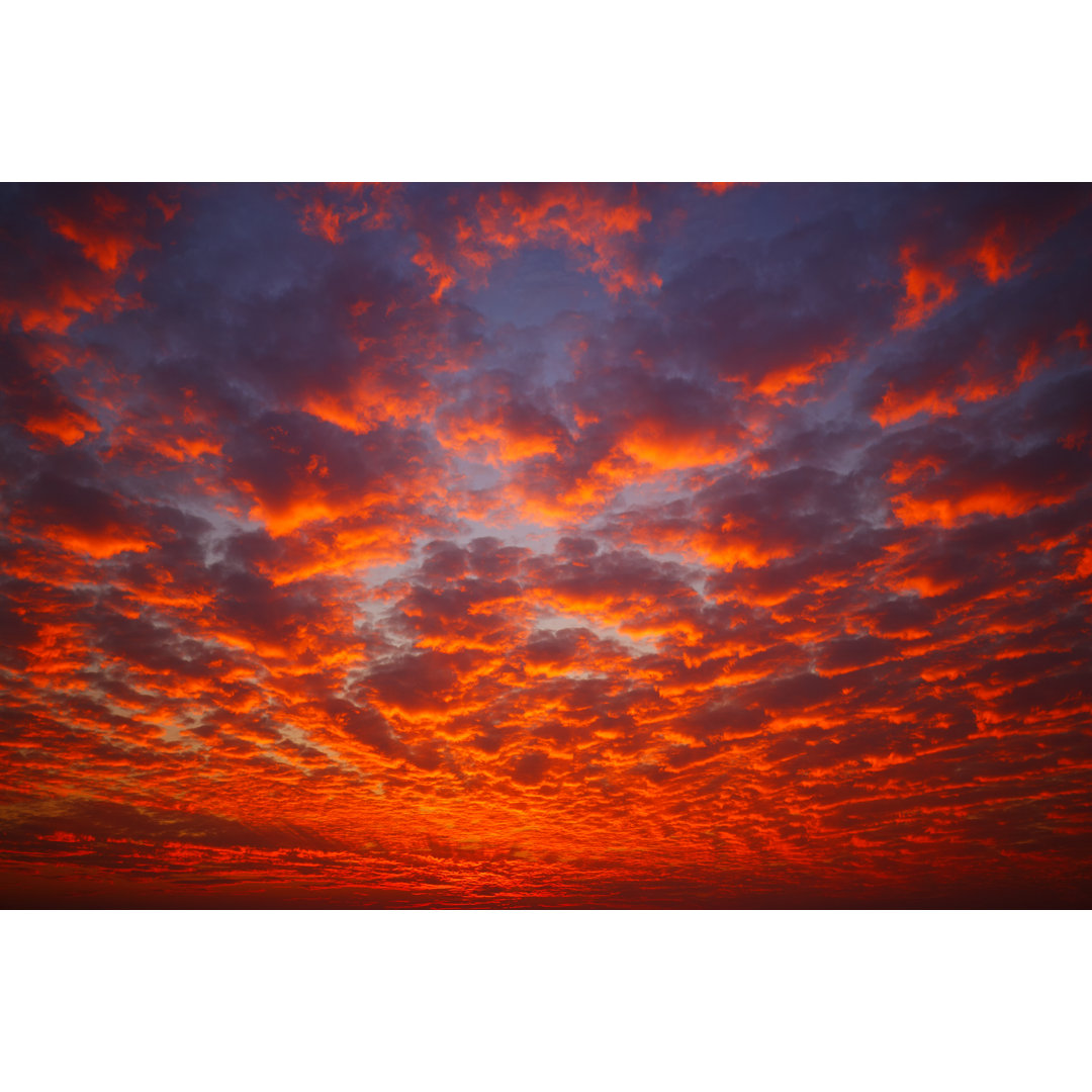 Cloud Typologies von Bgfoto - Drucken