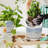 Ceramic Plant Pots Set Of 3,  Planters With Drainage Holes And Saucer, Flower Pot Outdoor Indoor, Modern Decorative Planters For House Plants Garden Planters Succulent Pots