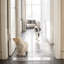 Low Clear Pet Gate Panel-1907855613