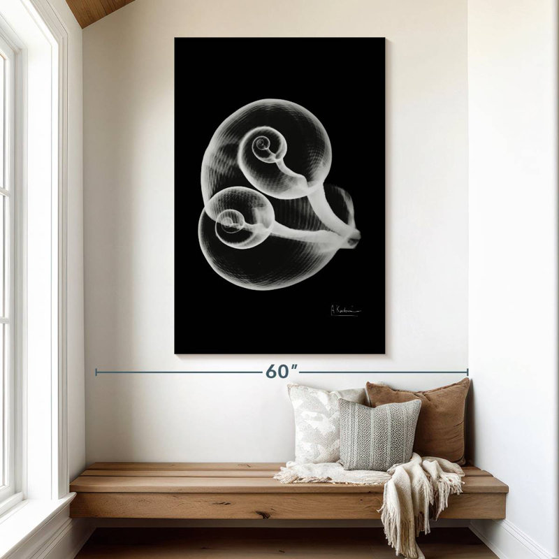 Aletra Conjoined Shells, 51" H x 34" W