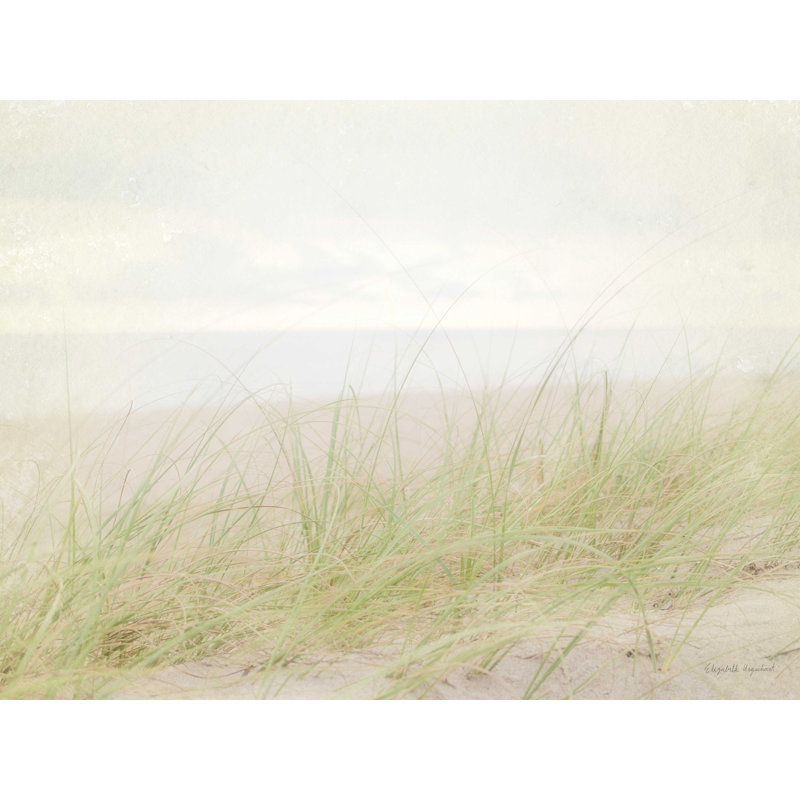 Beach Grass IV - reproduction sur toile, H 12 po x l 16 po