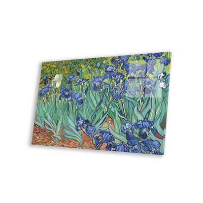 " Irises, 1889 " by Vincent Van Gogh