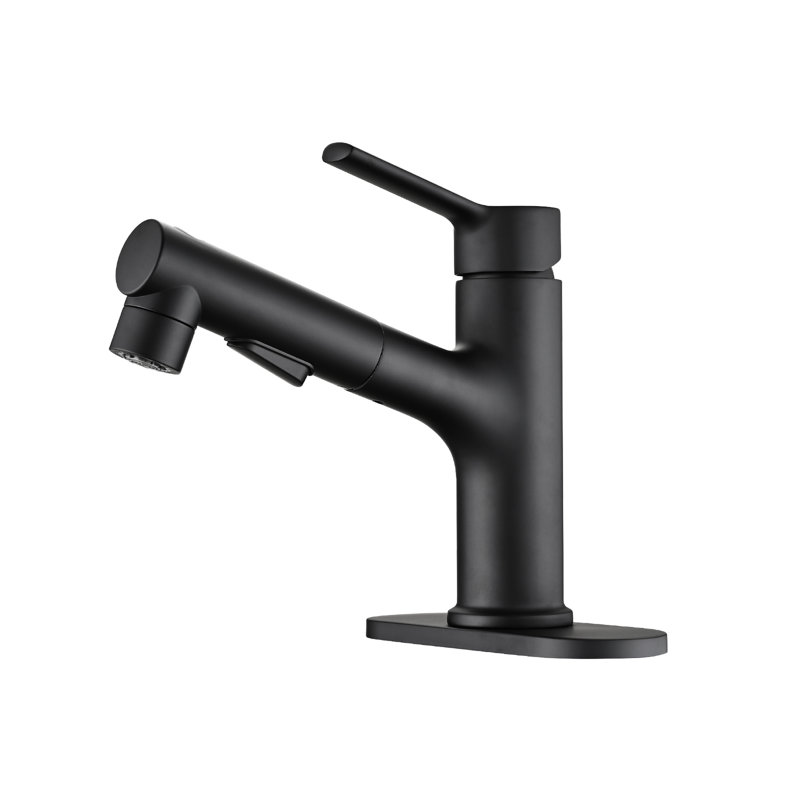 Modern Matte Black Bathroom Sink Faucet With Pull-Out And Pop-Up Drain, Fashionable Look Contemporary Basin Black, Fashion Style
