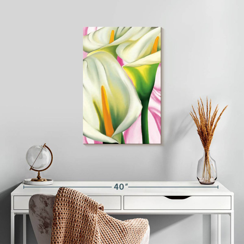 Harnek Calla Lis, H 24 po x l 16 po