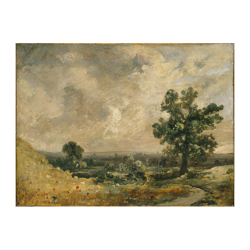 Telscombe Wallpaper Mural, 250 x 104cm