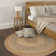 Gilbrae Beige/Gray Striped Modern Farmhouse Handmade Hand Braided Jute/Sisal Indoor Area Rug