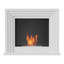 Foyer autoportant au bioéthanol Quaerere-100209931