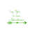 Lime Tree Green