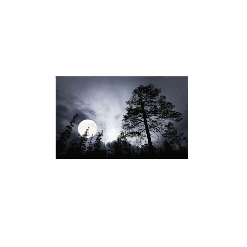 Toile noire au clair de lune dans la forêt, art mural 12 po x 18 po