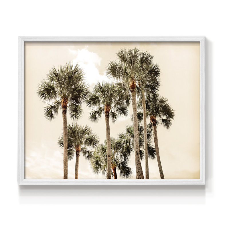 Blush Palms - reproduction encadrée - réarmable