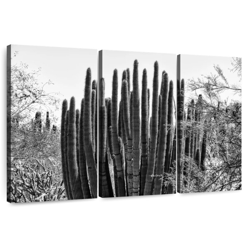 Harnek Black Arizona - Big Cactus, 20" H x 33" W