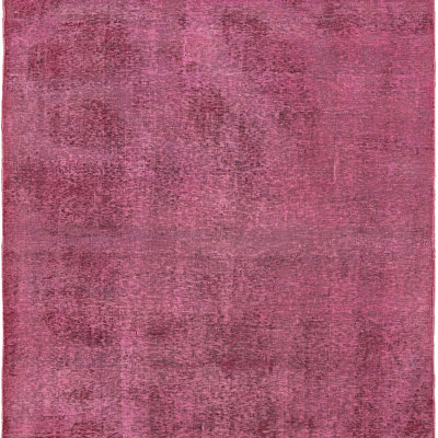 Anjennette Indoor Rug
