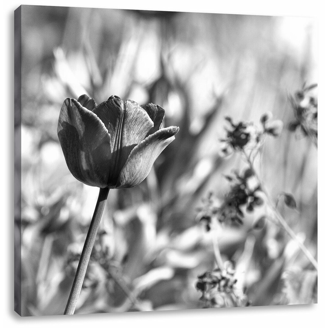 Leinwandbild Blumen im Sonnenschein