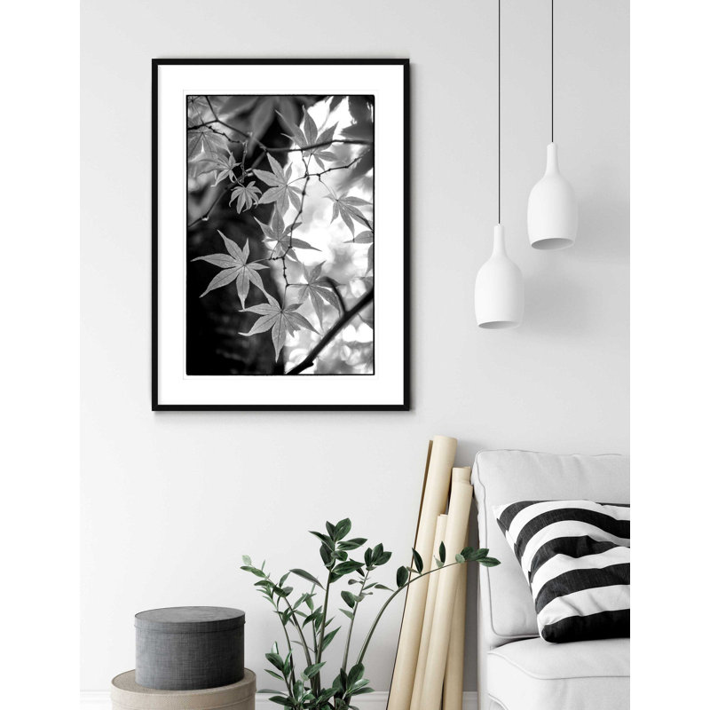 Érable japonais - photographie avec cadre photo, H 47 po x l 33 po, Encadré naturel