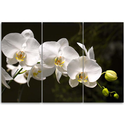 White Orchid Flower - 3 Piece Wrapped Canvas Print Set