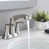 Brushed Nickel selected