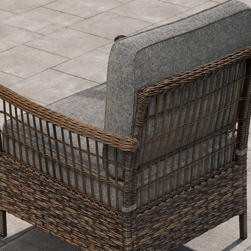 Chaises de patio simples en osier avec coussins
